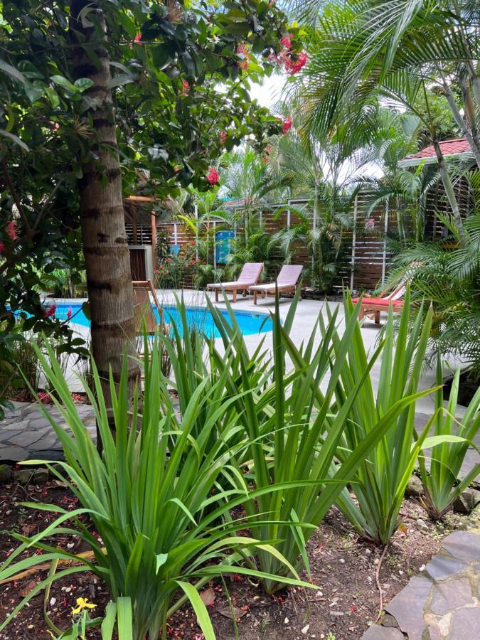 Apartahotel Anam